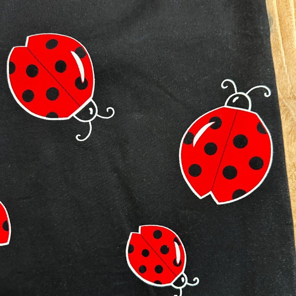 Briggs‎ Ladybug Skirt Black Red Pencil 12 New York Nature - Picture 2 of 8